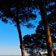 Blue - Moritz Michelson