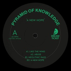 Pyramid Of Knowledge - A New Hope [DT014] - Out Now