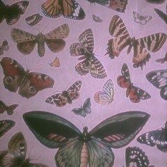 location (cover) x ria