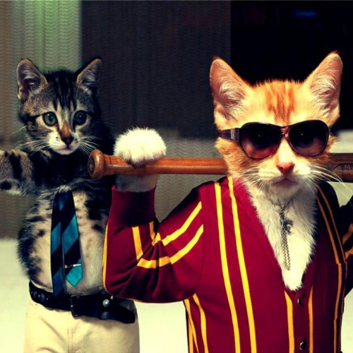 +FVCKFISH x i61 - NIGHT FREESTYLE