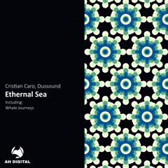 Cristian Caro, Dussound - Whale Journeys (Original Mix)