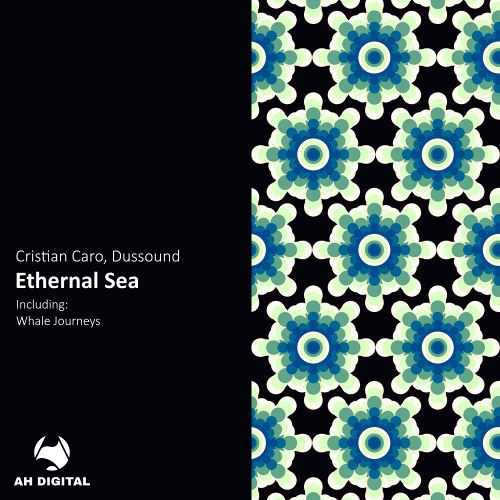 Cristian Caro, Dussound - Whale Journeys (Original Mix)