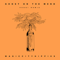 Ghost On The Mend (veggi remix)
