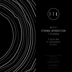 T. Fitzgerald - A Formal Introduction EP - WAFTR001