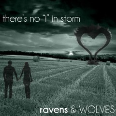 There's No "I" In Storm [unreleased]