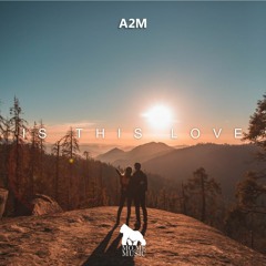 A2M - Is This Love (Extended Mix)