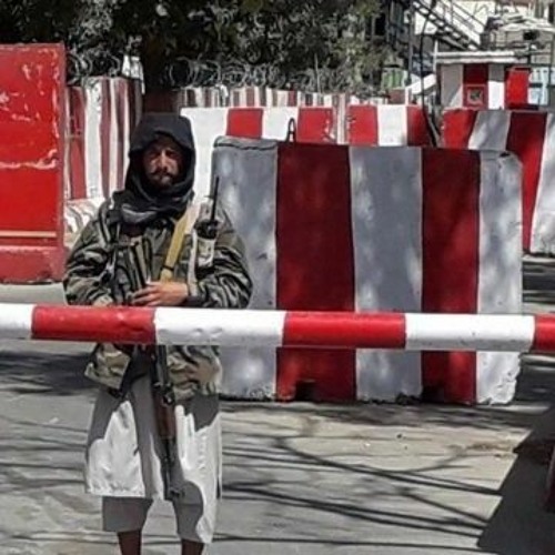 هر کجا مرز کشیدند | شفق سیاهپوش