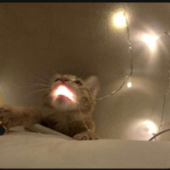 resonance by home slowed