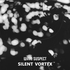 Silent Vortex