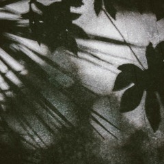 Ramone & The Eyes Of Heisenberg - Black Widow