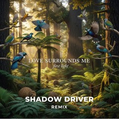 Love Surrounds Me (Shadow Driver remix)
