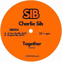 Together (A Year On Mix)[Radio Edit]