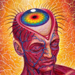 Mind Games
