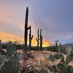 Arizona Sunshine Live (Take 1)