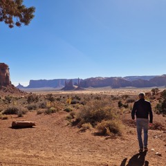 Monotonous Walk