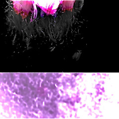 A few words for the man upstairs