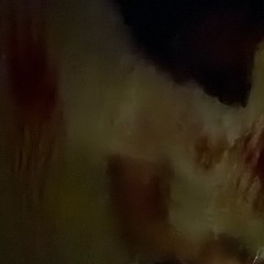 amigoinginsane