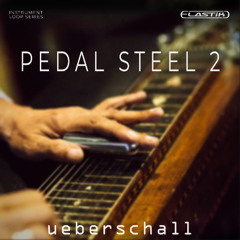 Ueberschall - Pedal Steel 2