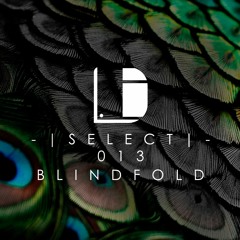 Drone Select 013 /// Blindfold