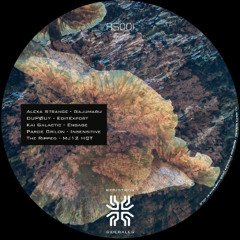 PREMIERE: Parde Grilon – Insensitive [RS001]