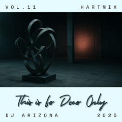 HARTMIX 11 - This Is For Decor Only