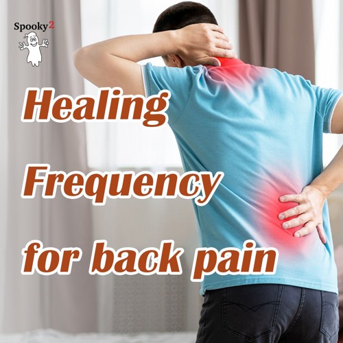 Healing Frequency for Back Pain - Spooky2 Rife Frequency Healing