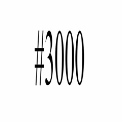 #3000