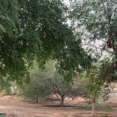 ‎⁨اطيح واقف  عبدالمجيدعبدالله ⁩ 1.mp3