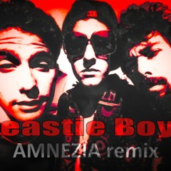 Beastie Boys - 3 the hard way (AMNEZIA remix)