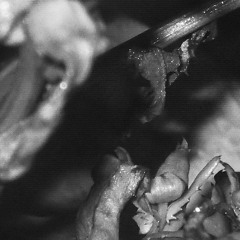 [111220]-[LuzOfuscante]