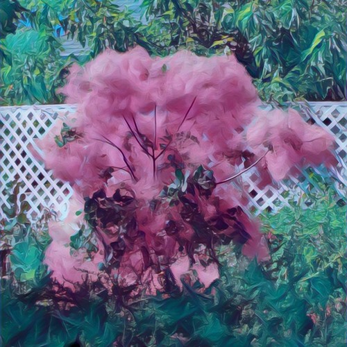 you don't love me like you used to (matthew may)