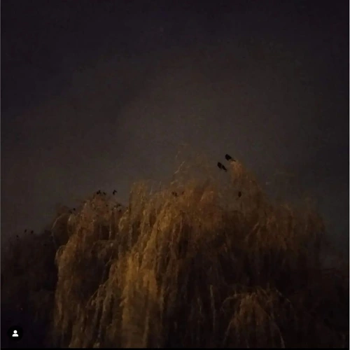 Clair Obscur #3 avec Liner Notes Soundcloud podcast image for