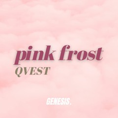 QVEST - pink frost