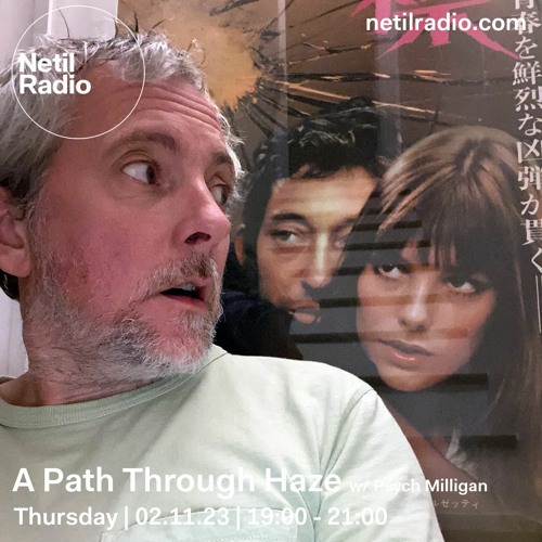 A Path Through Haze: 02 11 2023