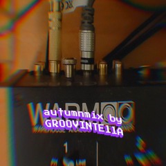 AUTUMN-MIX🎛🦔🍄🎃🍂🍁 (W.A.R.M_digital006)