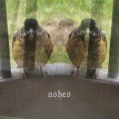 ashes (prod. farber)