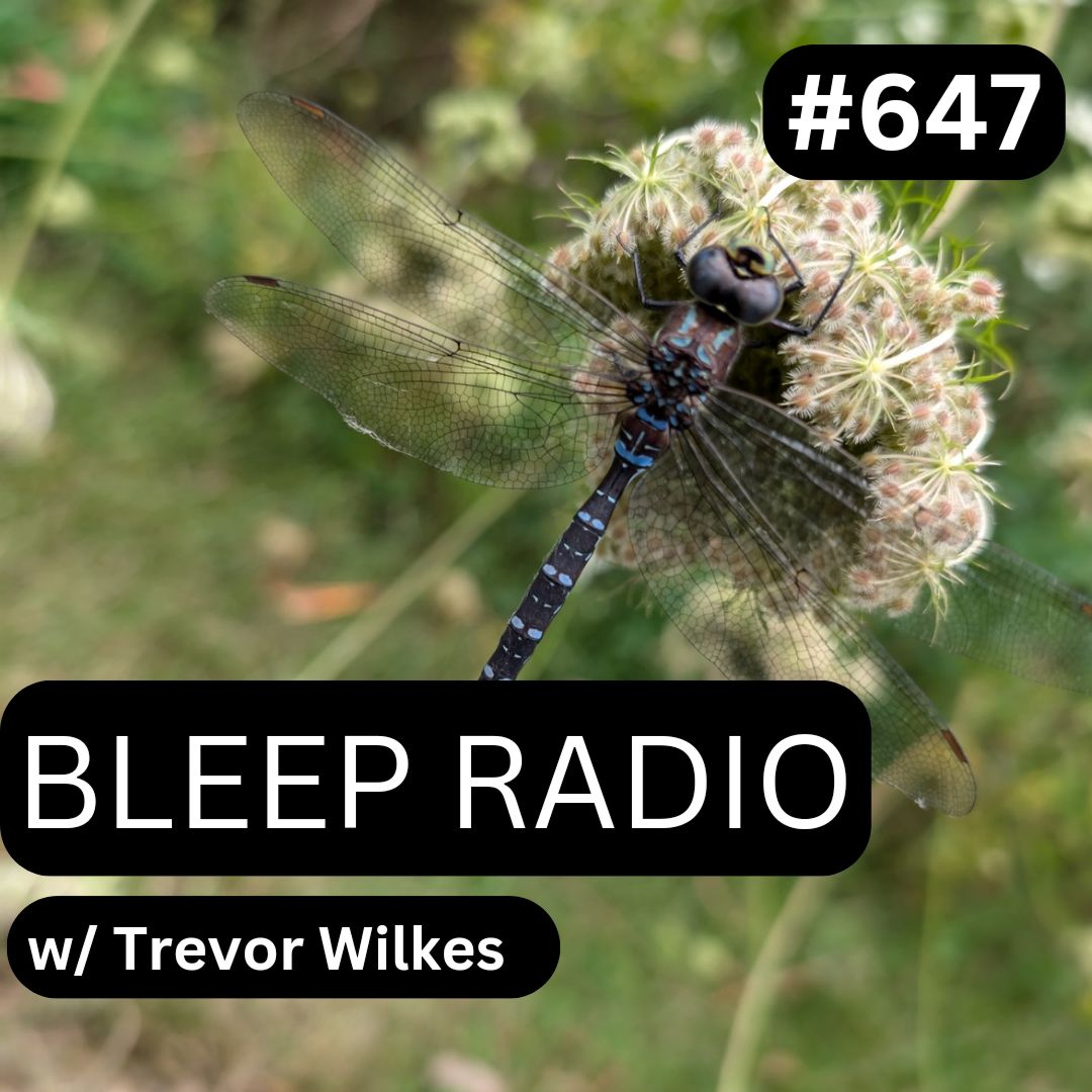 Bleep Radio w/ Trevor Wilkes