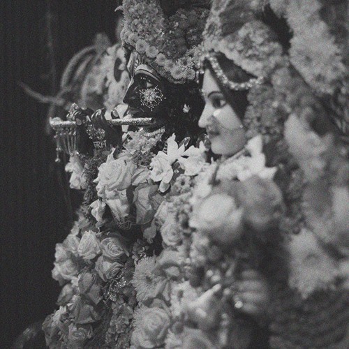 Stream Marvelous by Concrete Jungle Kirtan Listen online for free on