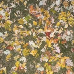 Temporary Love (prod. ZUUBEK)