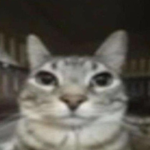 cheer you up - hissiest/kets4eki [2021 reupload]