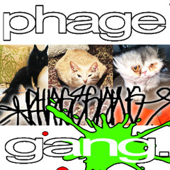 2³ ╠╣≡◬Ðʐ ■ THETA OHM FERN