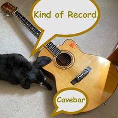 Kind Of Record
