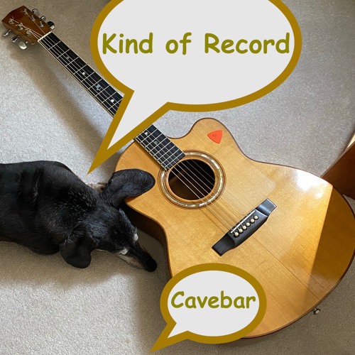 Kind Of Record