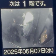 kabukicho whatsaheart speed up+extended