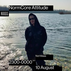 NormCore Attitude 42 w/ Not Mass