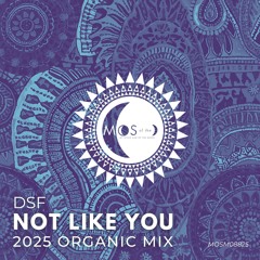 Not Like You (2025 Organic Extended Mix)