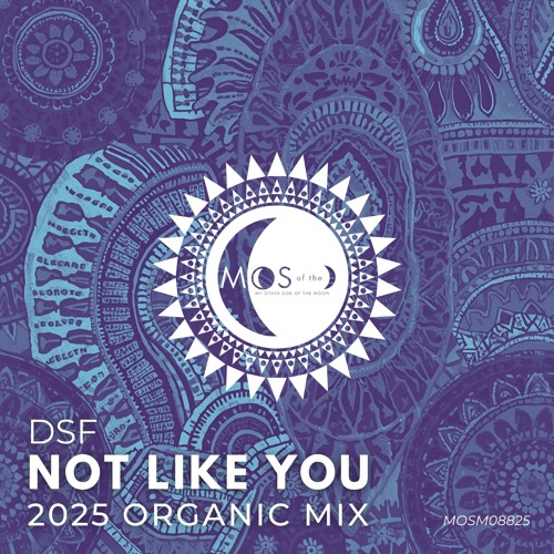 Not Like You (2025 Organic Extended Mix)