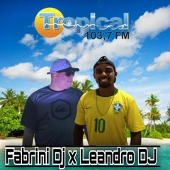 SEQUÊNCIA TROPICAL JOVEM MIX (FABRINI DJ X LEANDRO DJ)