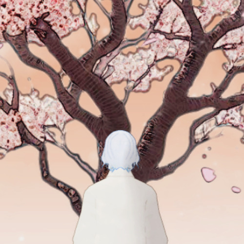 雨に濡れた桜とカノジョ