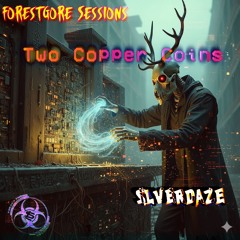 Two Copper Coins (208)